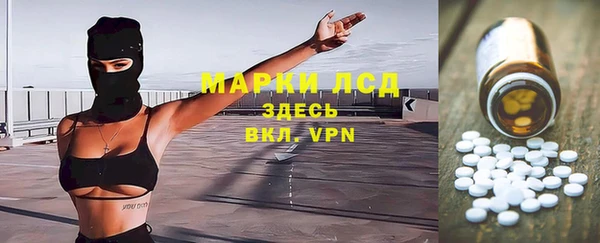 шишки Белокуриха