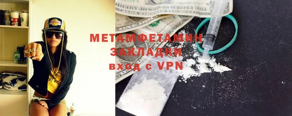 шишки Белокуриха
