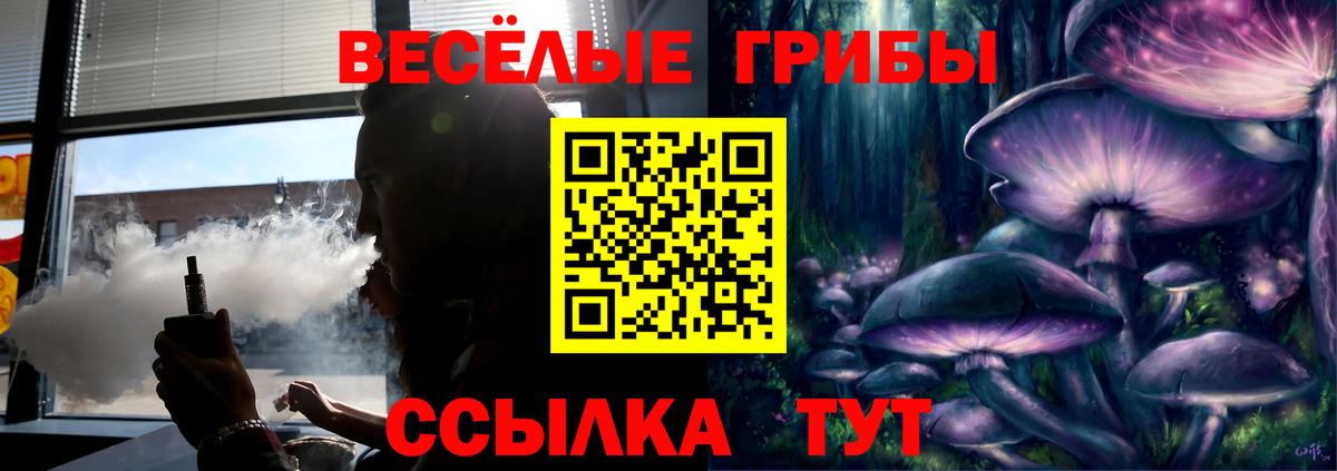 Галлюциногенные грибы Psilocybine cubensis  Вход с VPN  Реутов  Псилоцибиновые грибы Cubensis 
